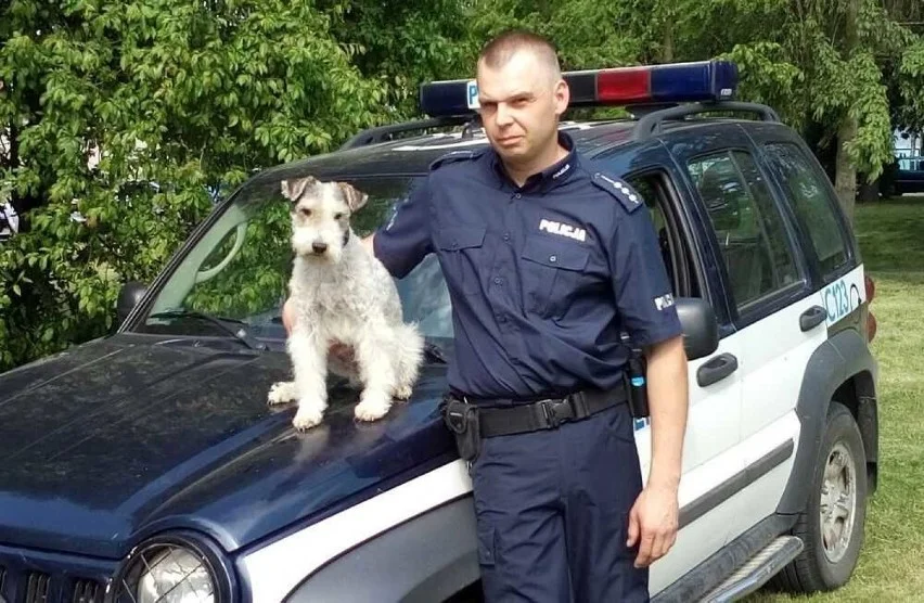 Foksterier w polskiej policji Foksterier w polskiej policji