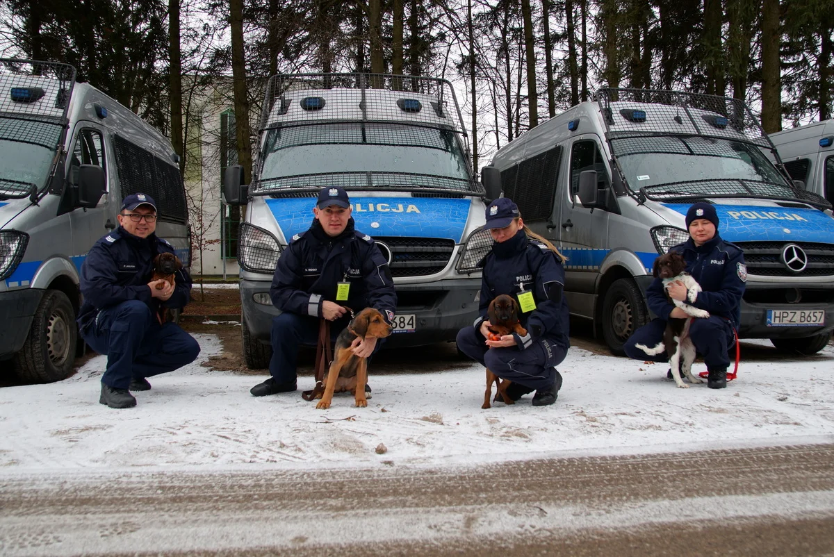 Ogar polski w polskiej policji Ogar polski w polskiej policji