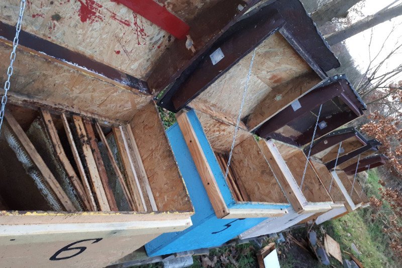 Pan Mirosław z Dębna pokazał internautom swoje zniszczone ule. Teraz użytkownicy Facebooka szukają sprawcy dewastacji, który pozbawił domu pszczoły.