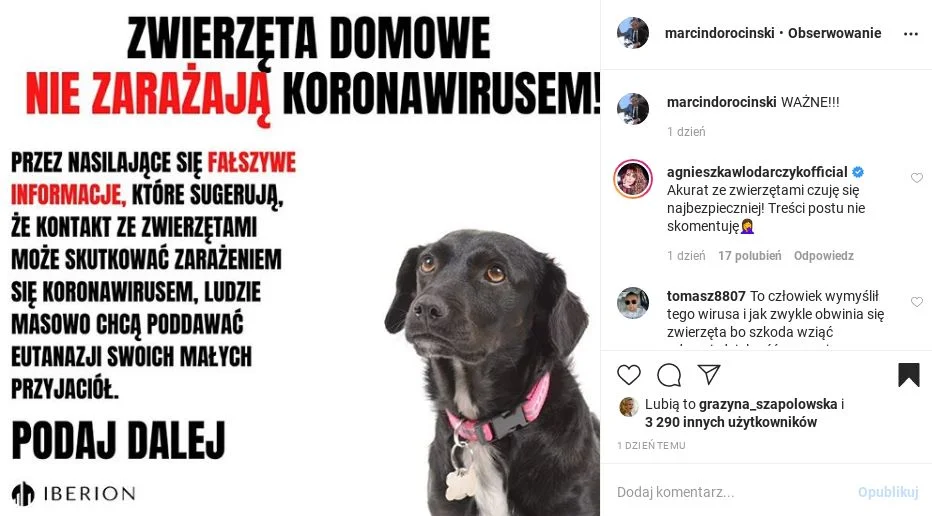 Marcin Dorociński apeluje, by nie wierzyć w fake newsy, które wskazują, że zwierzęta mogą zarazić człowieka covid-19.