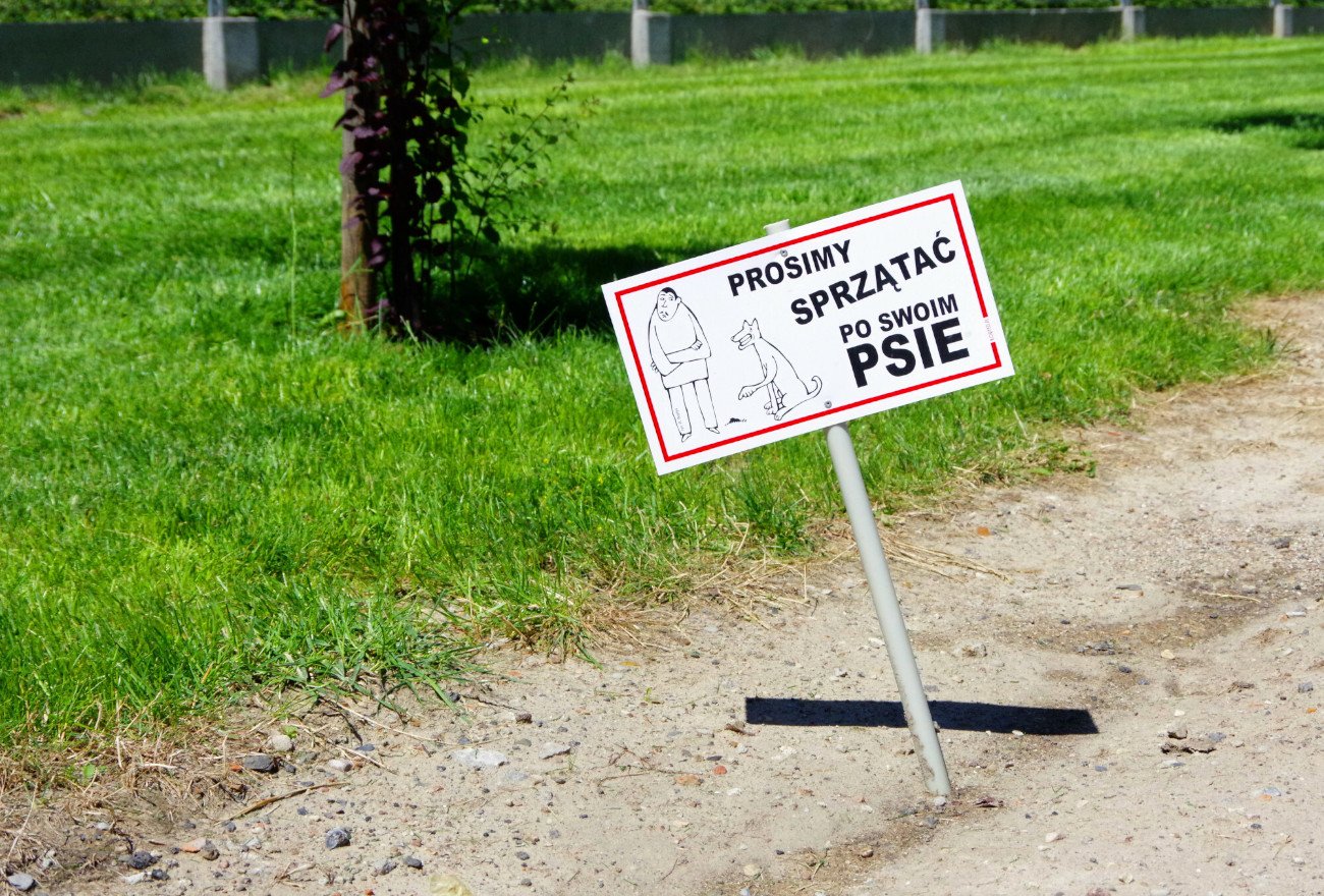 Czasami spacer po parku przypomina przejście przez pole minowe...