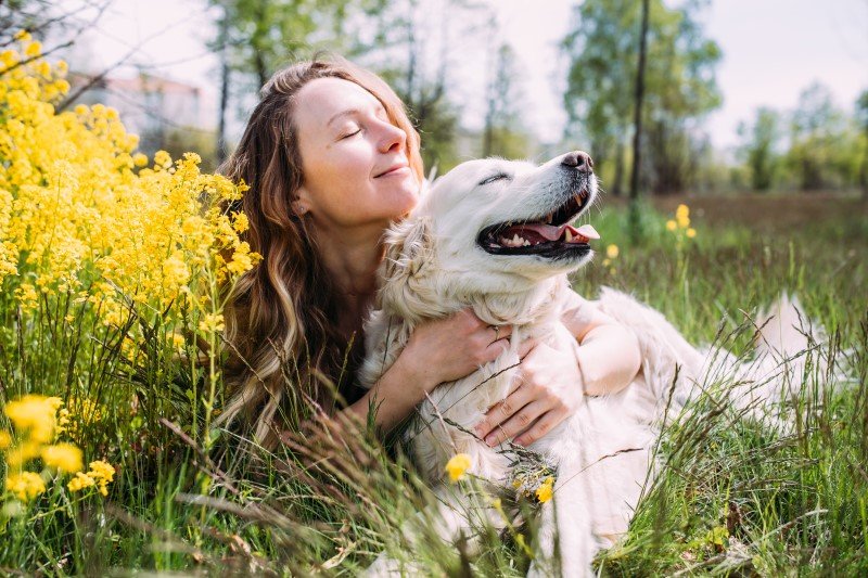 10 korzyści z posiadania psa