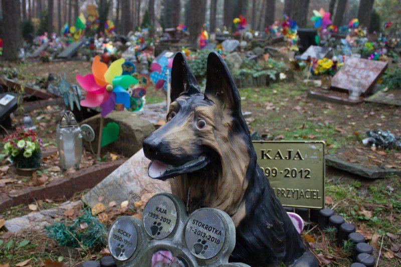 1. listopada odwiedziłam cmentarz dla zwierząt "Psi Los" pod Warszawą