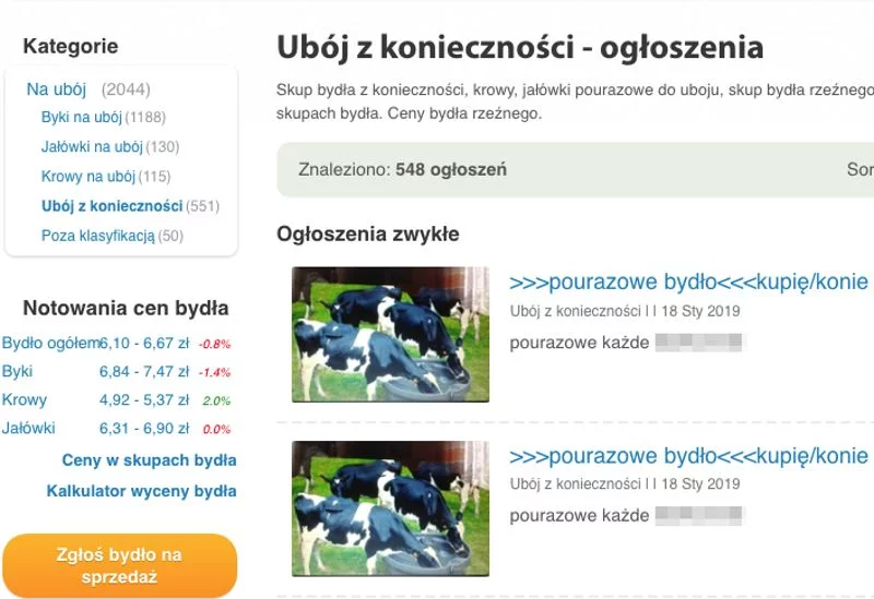 Podobnych ogłoszeń można znaleźć całkiem sporo.
