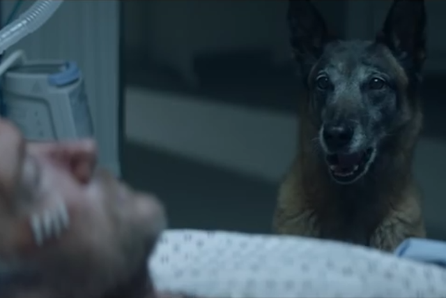 Francuska kampania chwyta za serce.