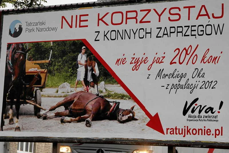 Billboard nawołujący do bojkotowania jazdy zaprzęgami konnymi