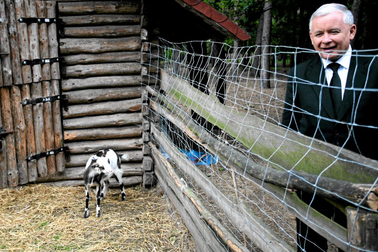 Ministerstwo Klimatu i Środowiska wznawia prace nad nowelizacją ustawy antyodorowej.