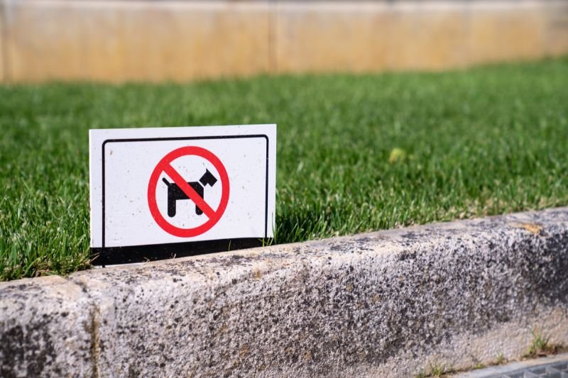 Zakaz wprowadzania psów jest nielegalny. Z psami można dowolnie korzystać z przestrzeni publicznej