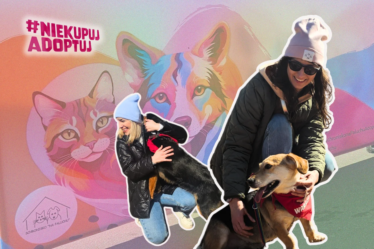 Akcja schroniska na Paluchu – Adoptuj Warszawiaka. Akcja Adoptuj Warszawiaka, Park Szczęśliwicki, Warszawa 2025.