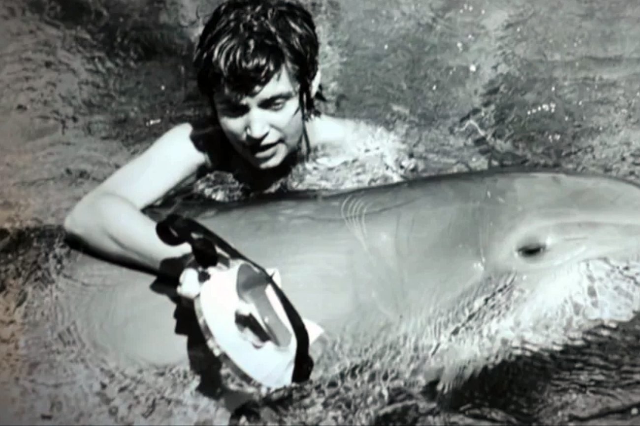 Margaret Lovatt z delfinem Peterem