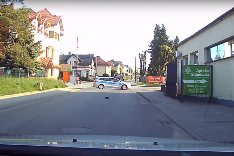 Dzięki pomocy policji spacer tego jeża nie skończył się tragicznie