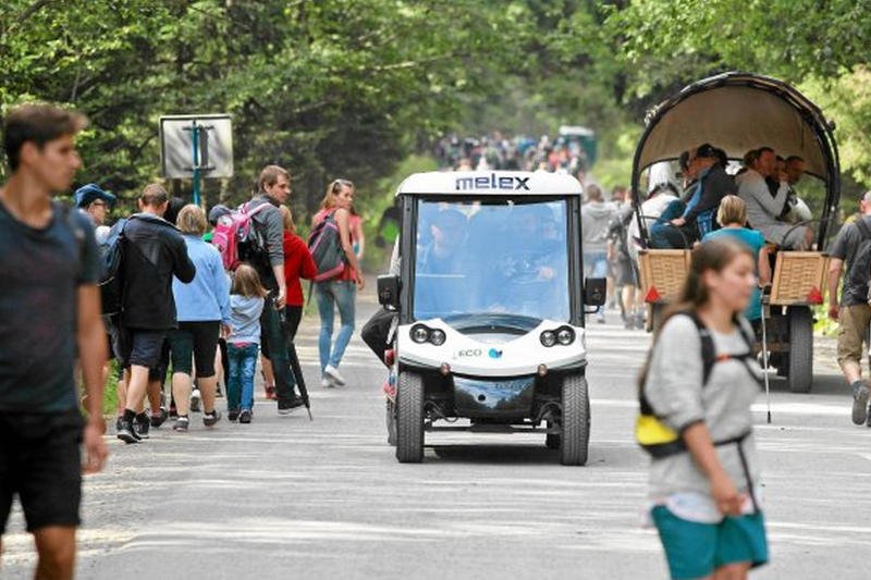 To nie o konie chodzi, ale o kasę. Starosta tatrzański podejrzewa spisek producentów meleksów