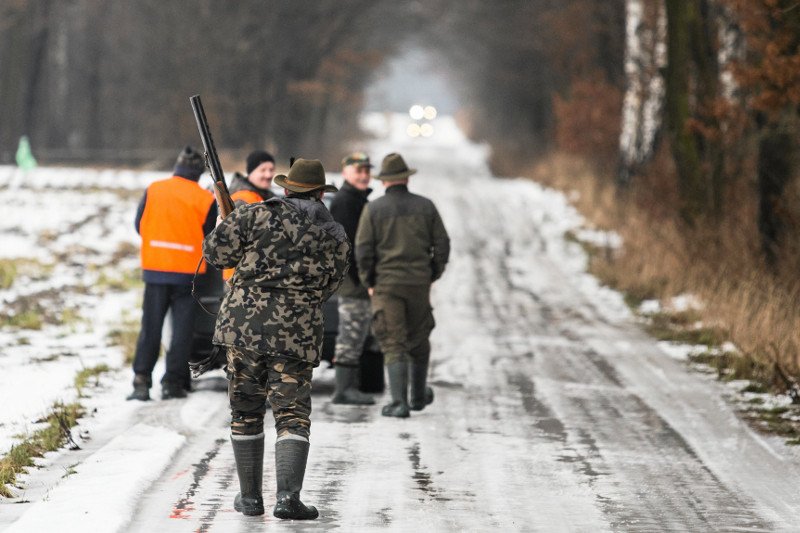 Nawet myśliwym nie podoba się pomysł ministra rolnictwa, który chce zarządzić odstrzał wszystkich dzików w Polsce.