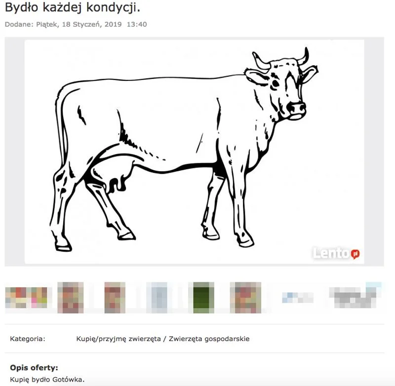 "Kupię bydło każdej kondycji".