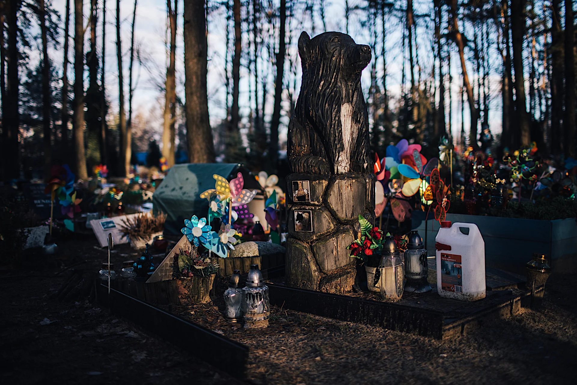 Ile trwa pamięć o zwierzęciu? To zależy od człowieka. Niektórzy pojawiają się tylko na pogrzebie, inni odwiedzają grób i po kilkanaście lat