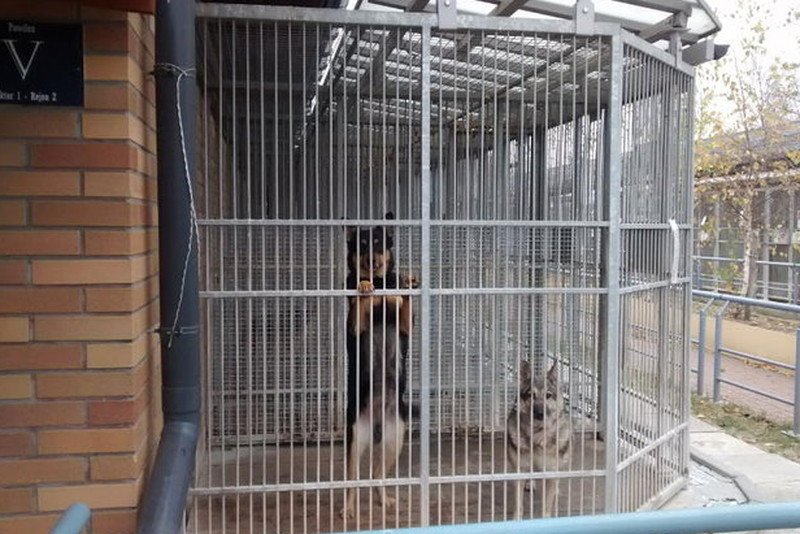 Schronisko na Paluchu.