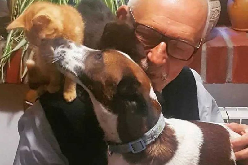 Politycy Konfederacji zapozowali do zdjęć ze swoimi pupilami. Internauci porównali je do fotografii Adolfa Hitlera i jego psa Blondi.