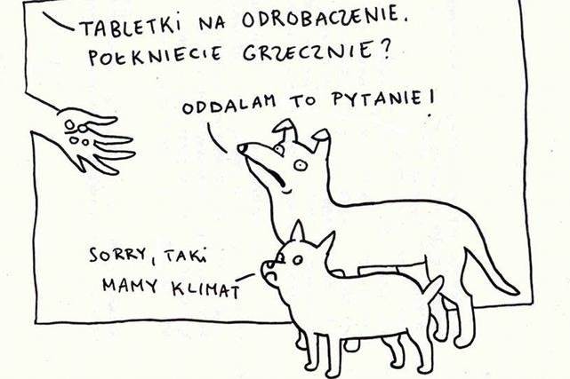 Psie sucharki podbijają internet