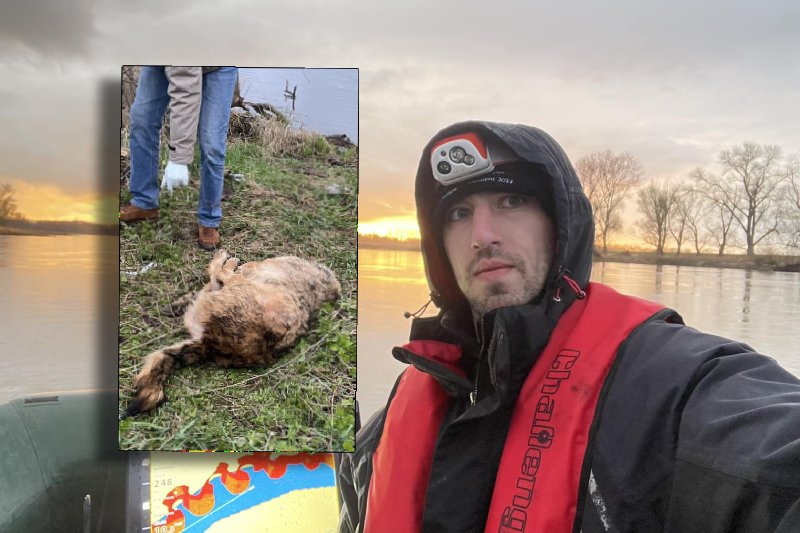 Płetwonurek wyłowił z Odry ciało psa bez głowy. Teraz szuka sprawcy