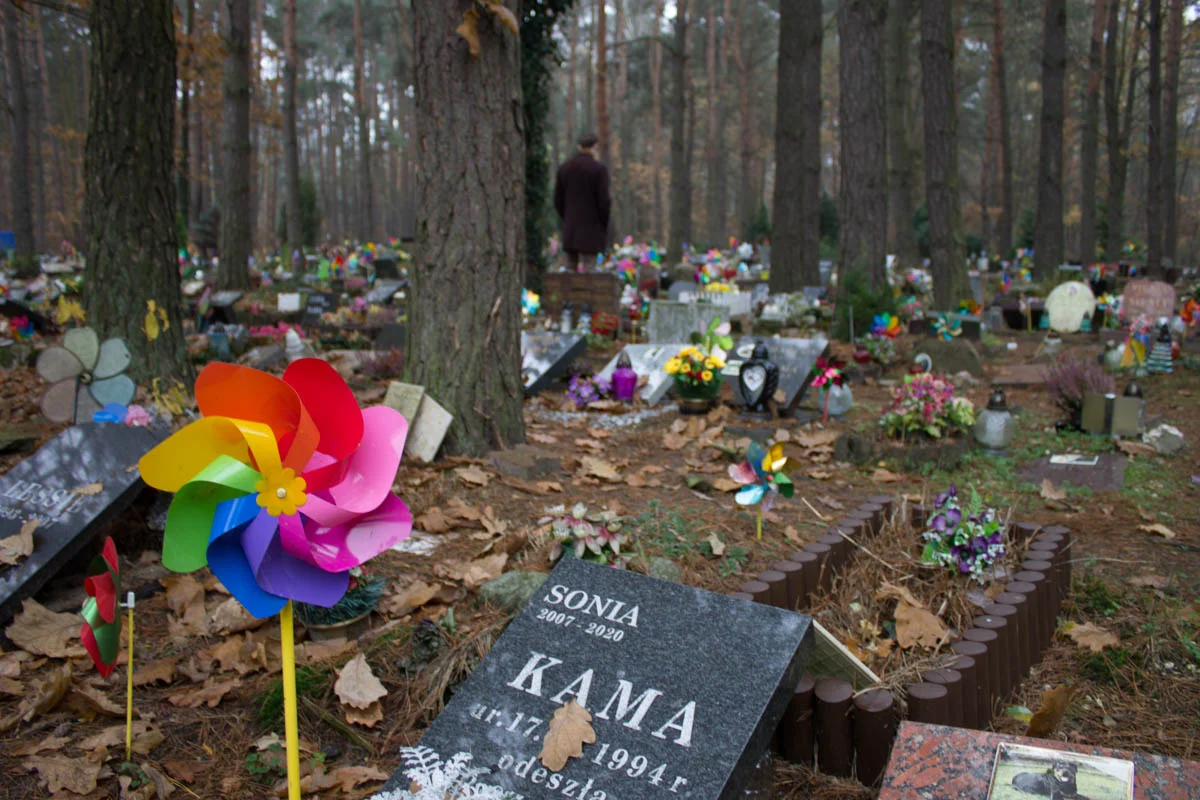 Stary Cmentarz dla zwierząt "PSI LOS"
