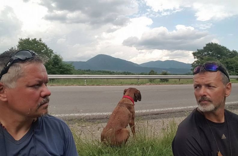 To pies wybrał sobie Romana Ziębę i jego przyjaciela, Szymona na towarzyszy podróży.