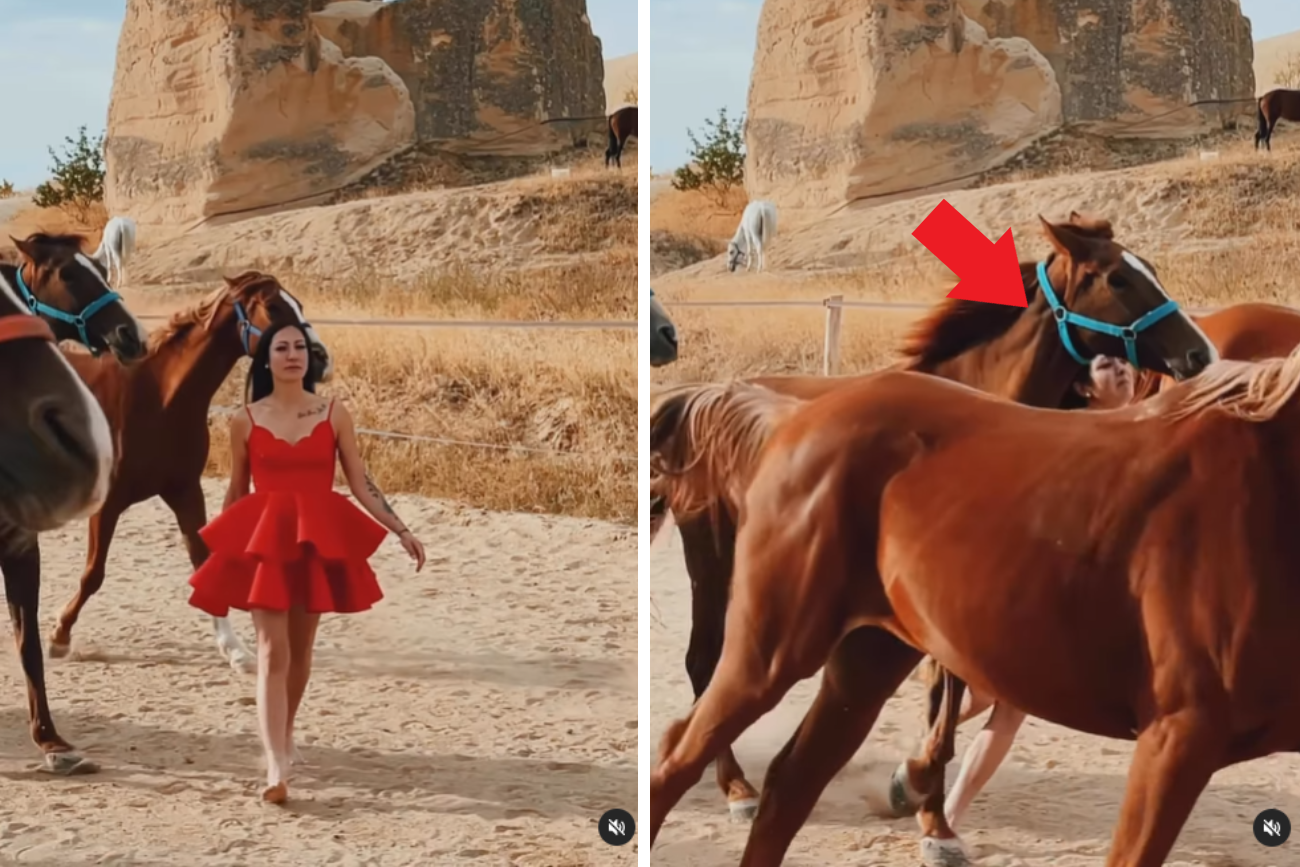 Ta sesja zdjęciowa nie skończyła się dobrze