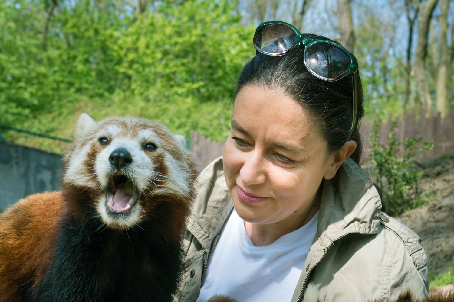 Poznańska prokuratura oskarża dyrektor zoo Ewę Zgrabczyńską o znęcanie się nad zwierzętami.