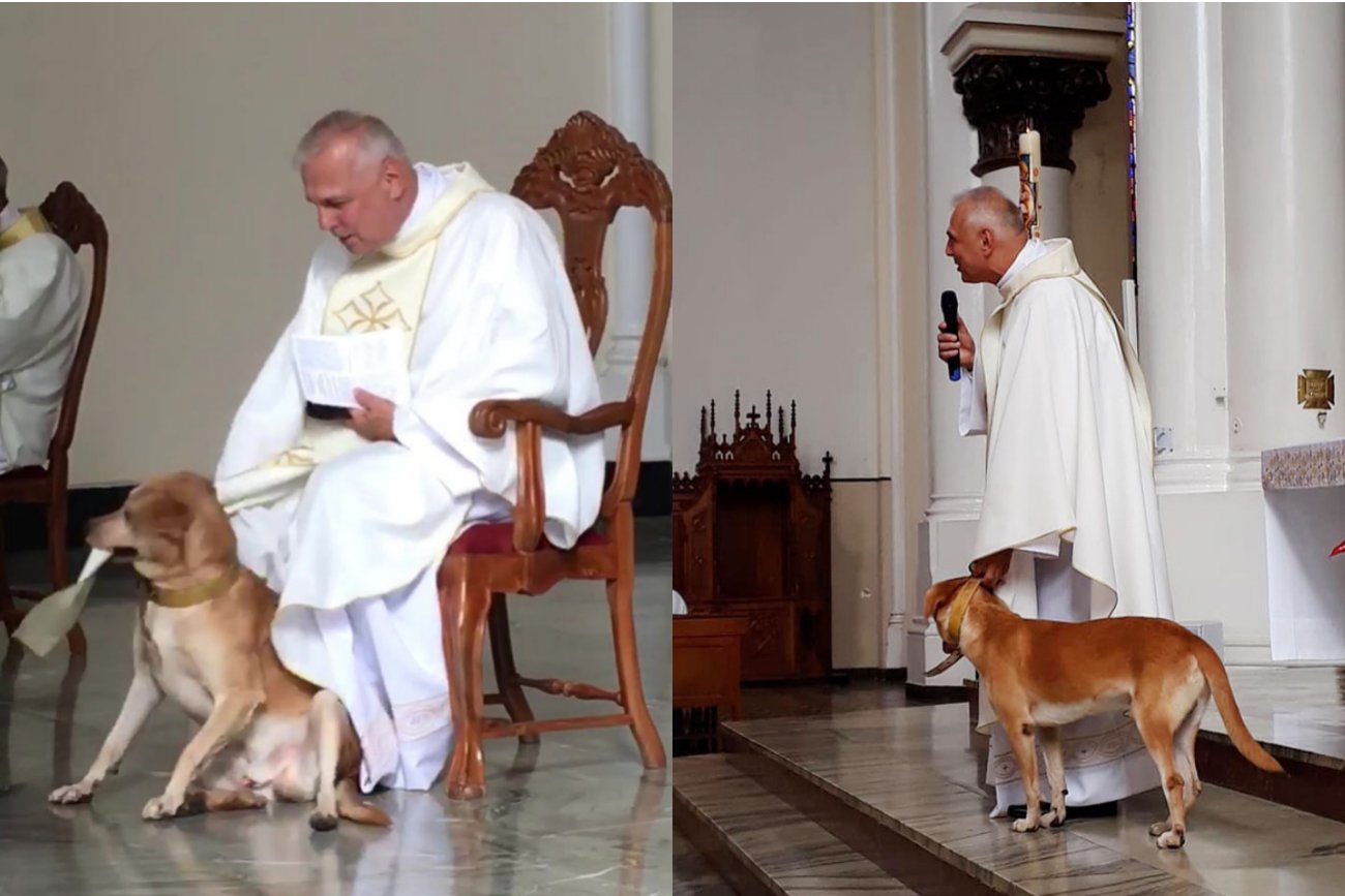 Pies wtargnął do Kościoła. Rozbrajająca reakcja księdza