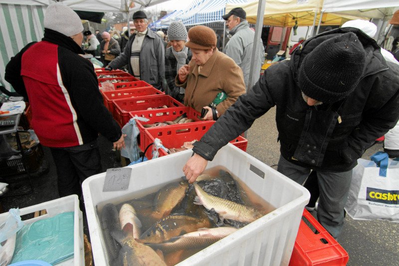 Handel karpiem jak znęcanie się nad zwierzętami. "Ludzie reagują śmiechem, ale policja powinna się tym zajmować".
