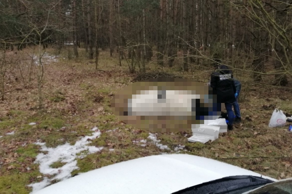 Byk został zastrzelony przez policjantów