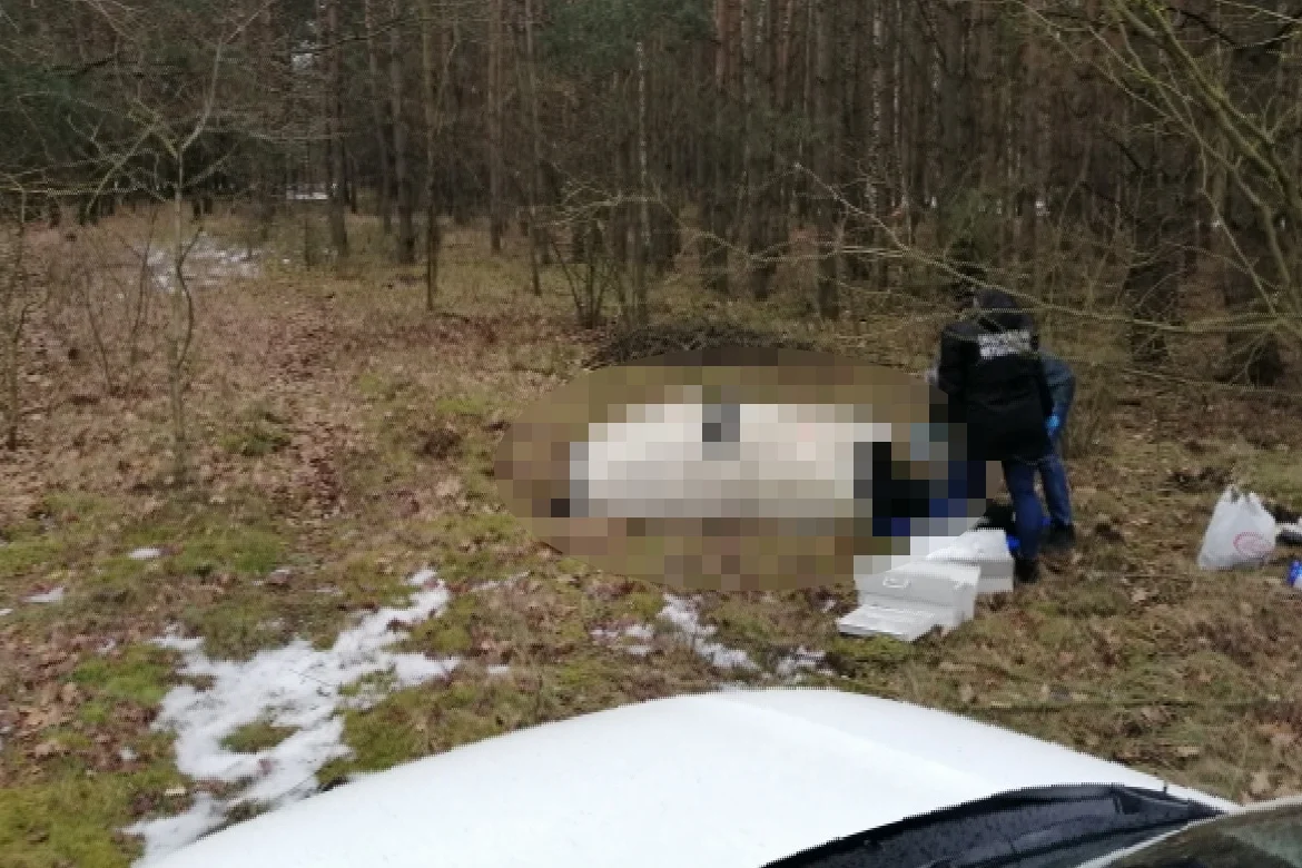 Byk został zastrzelony przez policjantów