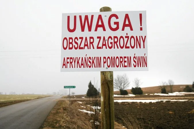 15 września ma ruszyć budowa muru-siatki odgradzającej województwo świętokrzyskie od podkarpackiego. Wszystko w obawie przed rozprzestrzenianiem się ASF.