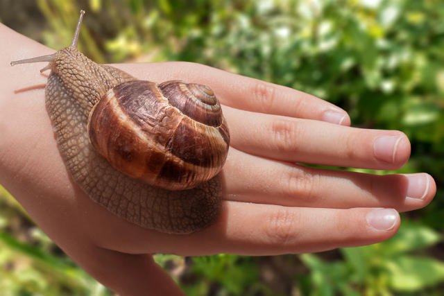 Odżywczy, smaczny i apetyczny, ale na rybę nie wygląda