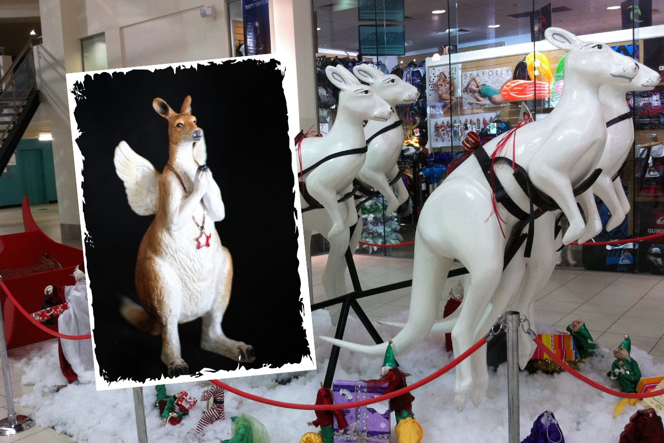 Kangury ciągnące sanie św. Mikołaja? W Australii to normalne