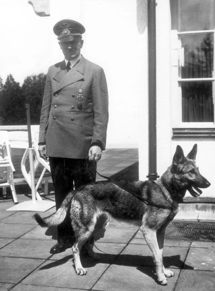 Hitler i Blondi w Berghof (1942) Hitler i Blondi w Berghof (1942)