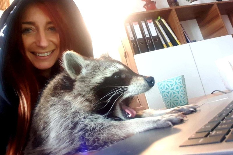 Sekcja zwłok szopa Edwarda wykazała nowe fakty – przed zamknięciem w plastikowej beczce, zwierzę zostało skatowane.