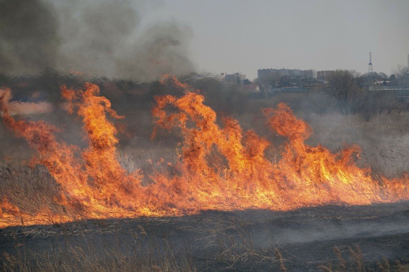 Wiosenne wypalanie traw to jedna z najgłupszych polskich tradycji