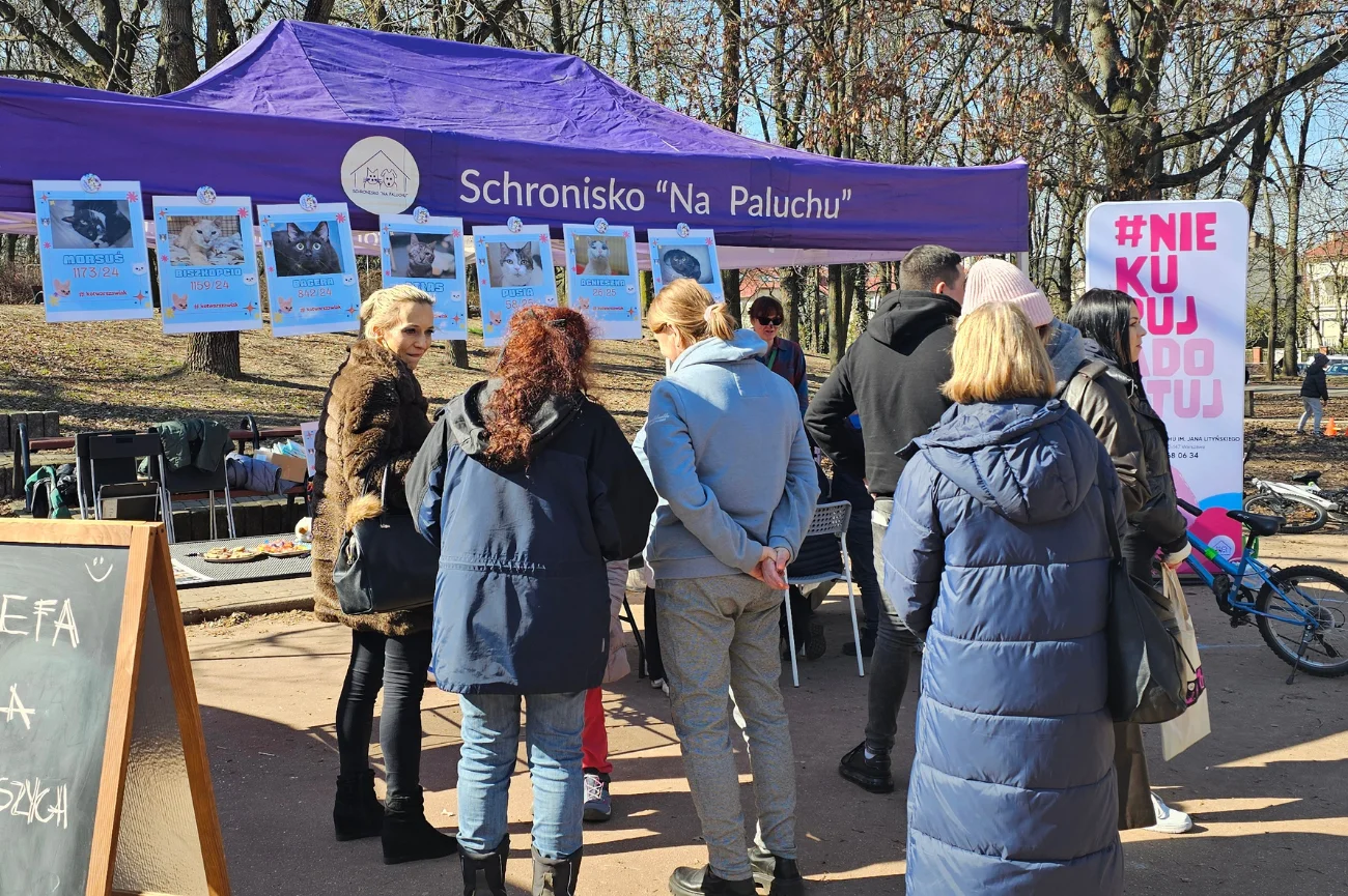 Akcja "Adoptuj Warszawiaka" Akcja "Adoptuj Warszawiaka", koci kącik "Koty Warszawiaki", Park Szczęśliwicki, Warszawa