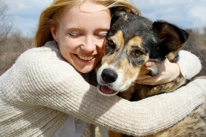 Psy pomagają w leczeniu depresji