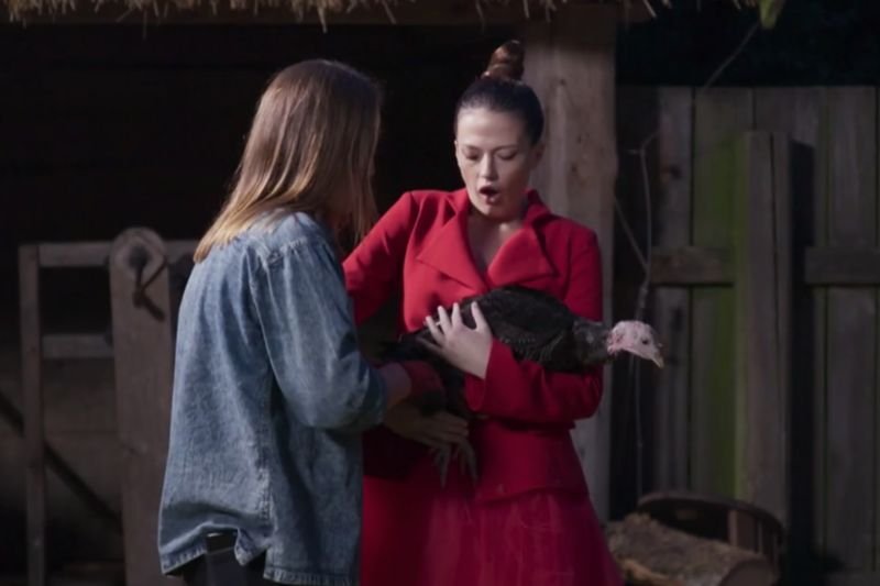 Uczestnicy byli zestresowani z pracą ze zwierzętami.