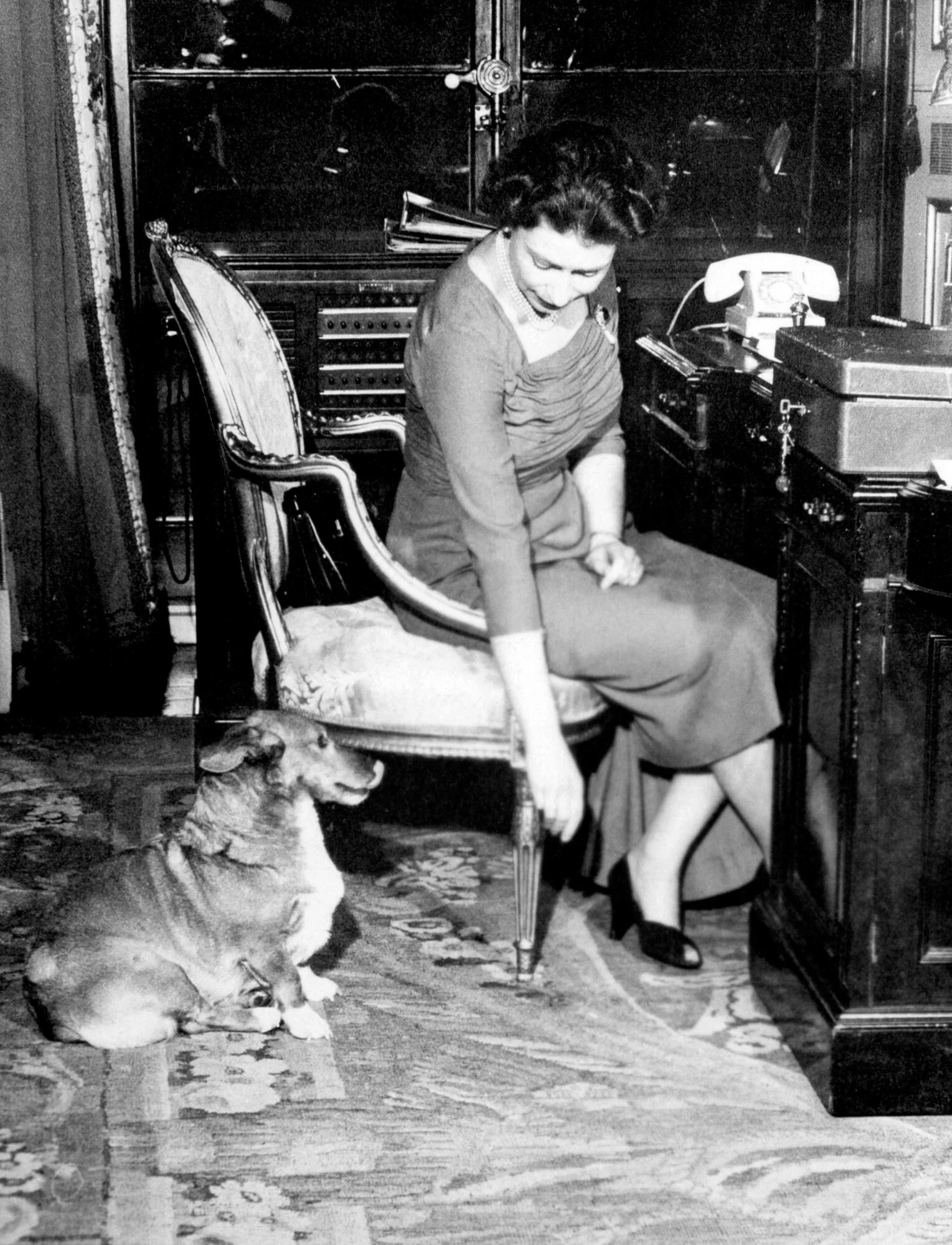 Corgi królowej nie odstępowały jej na krok Corgi królowej nie odstępowały jej na krok