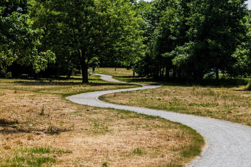 Trawa skoszona w upał zamienia się w ściernisko