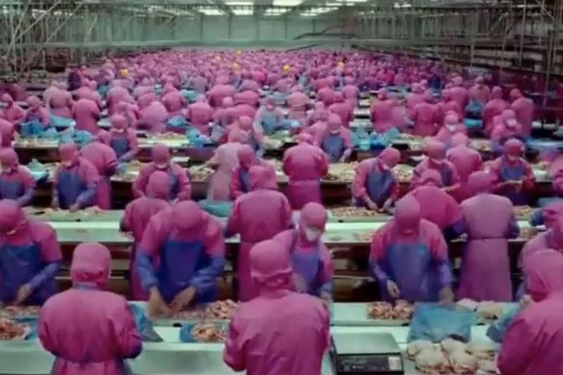 Czy warunki chowu przemysłowego i produkcji żywności w Polsce odbiegają od tego, co pokazuje popularny film na YouTube?