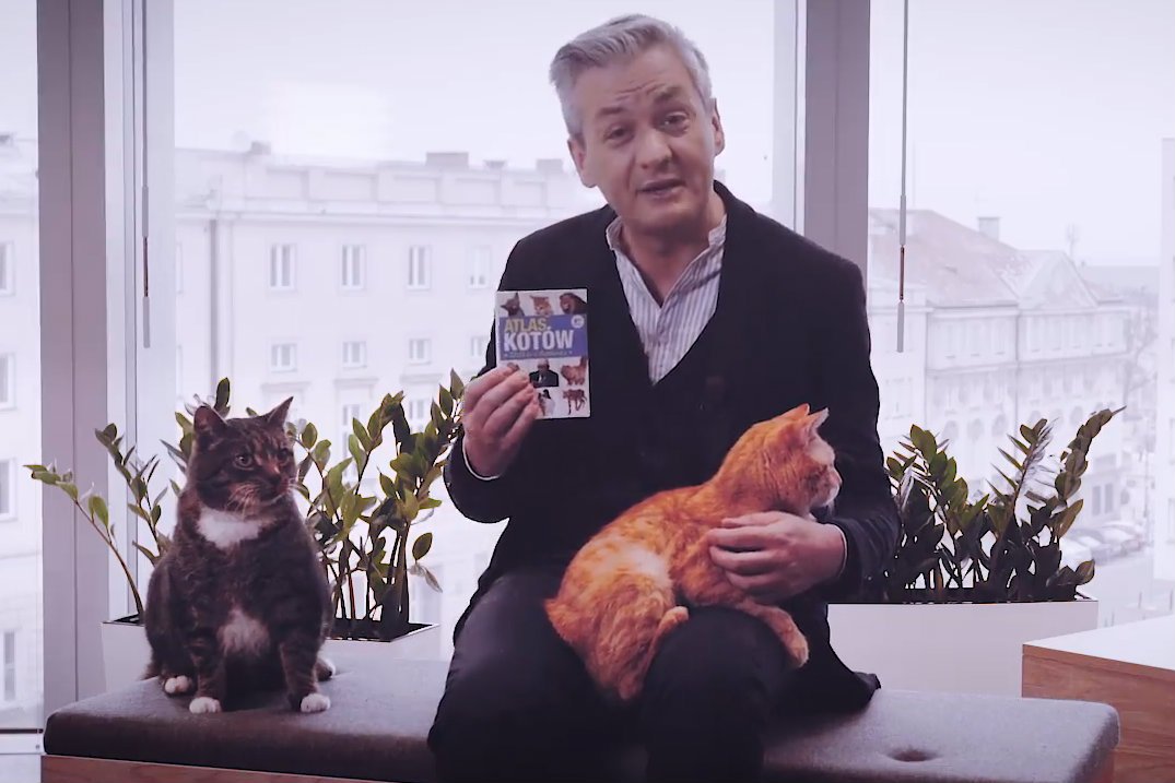 Robert Biedroń zachęca w specjalnym filmie do adopcji kotów