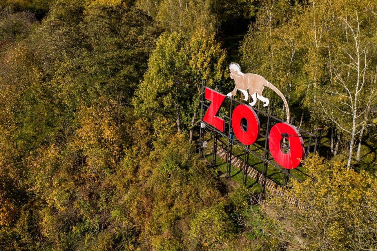 ZOO w Płocku ma powody do dumy. Na terenie ich ogrodu wykluł się bardzo rzadki okaz