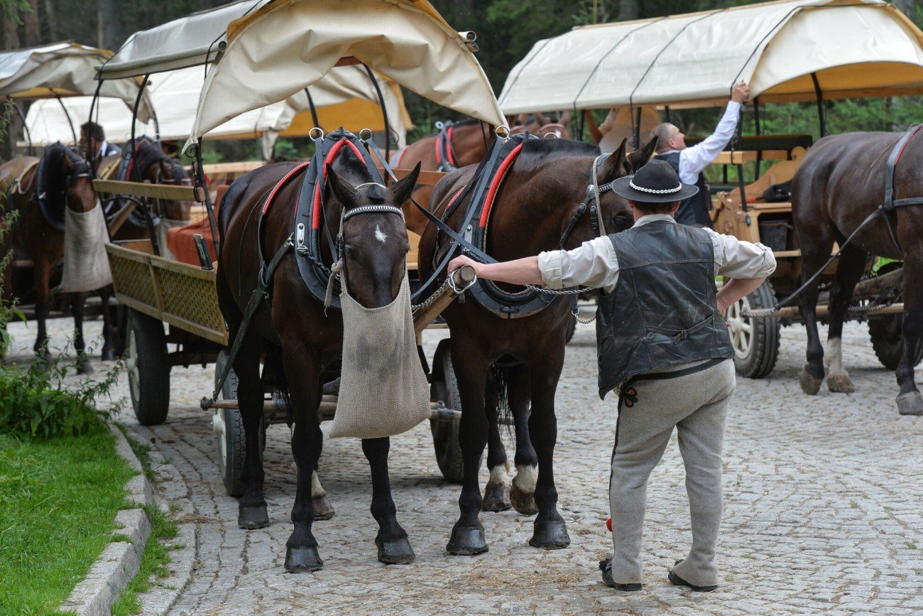 Transport konny na Morskim Oku budzi wiele kontrowersji