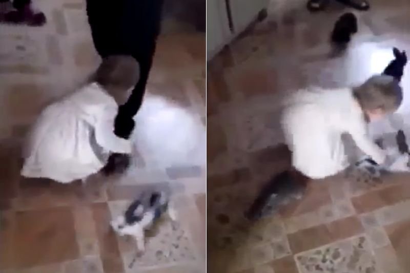 Mała dziewczynka rzuca królikami pod okiem dorosłych. Zwierzęta zostały odebrane rodzinie, a sprawą zajmuje się policja.