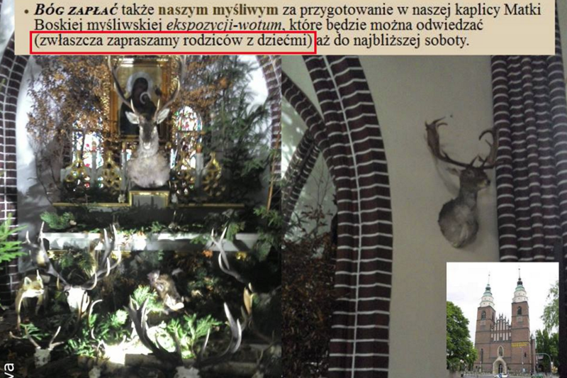 Rogi w kościele? Tak jest w Głubczycach.