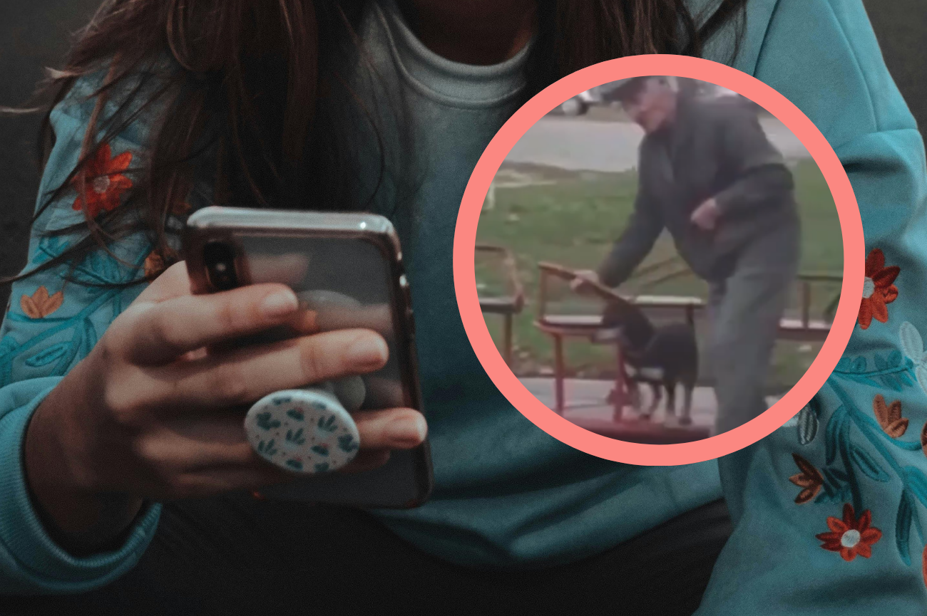 Wideo ze staruszkiem i psem na karuzeli poruszło cały świat Dłonie kobiety na telefonie komórkowym, staruszek z psem na karuzeli