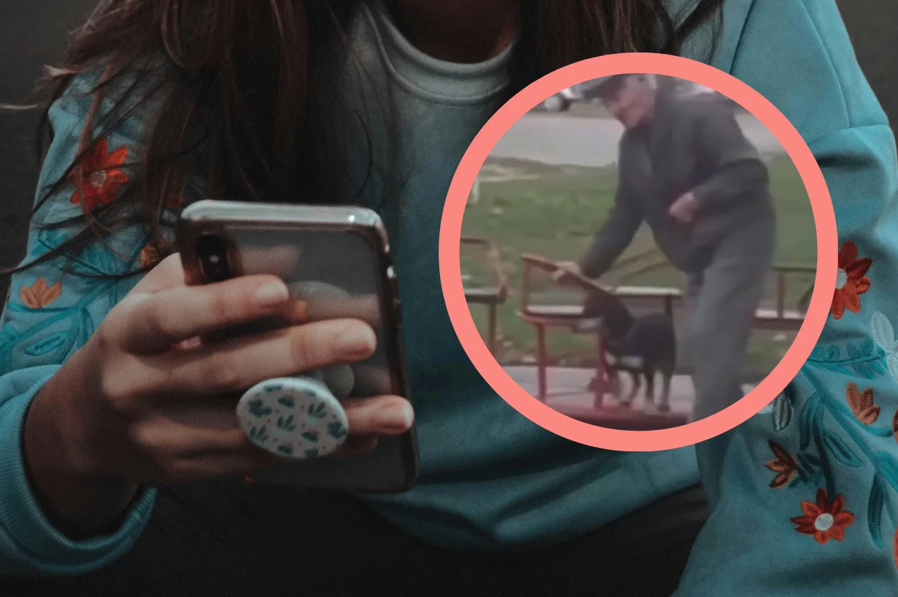 Wideo ze staruszkiem i psem na karuzeli poruszło cały świat Dłonie kobiety na telefonie komórkowym, staruszek z psem na karuzeli